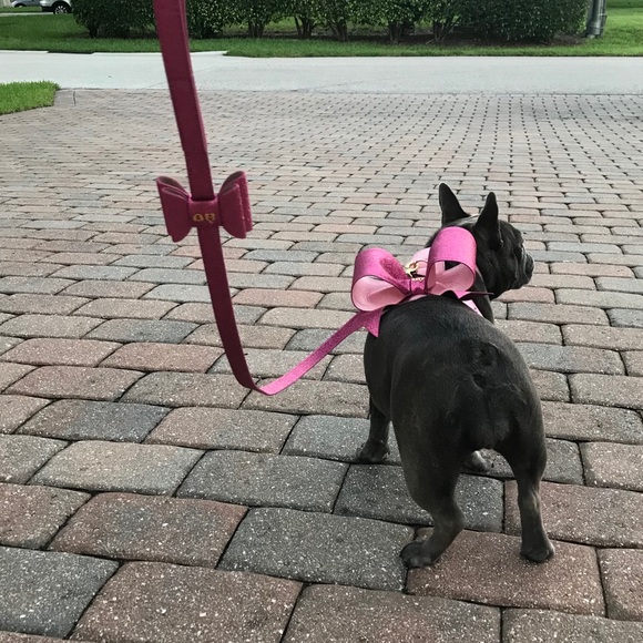 MOSHIQA Christian Cowan Pink Glitter Dog Harness - Picture 3 of 16